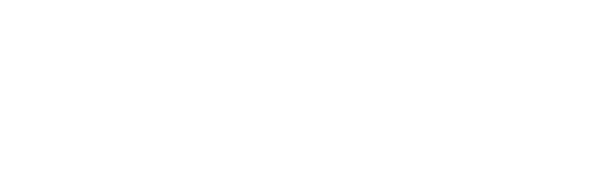Citycam Logo